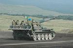 Dcim5194/DSC_0462