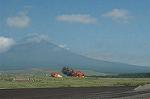 Dcim5198/DSC_6671