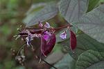 Dcim5201/DSC_1220