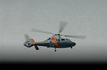 Dcim5203/DSC_1353