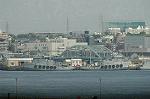 Dcim5203/DSC_1361
