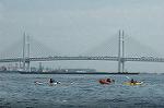 Dcim5204/DSC_1415
