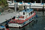 Dcim5205/DSC_1526
