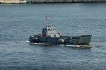 Dcim5206/DSC_1746