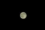 Dcim5210/DSC_2228