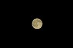 Dcim5210/DSC_2230