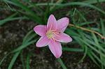 Dcim5219/DSC_2644