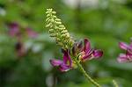 Dcim5220/DSC_2725