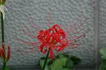Dcim5220/DSC_2744