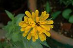 Dcim5220/DSC_2757