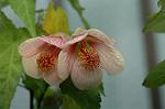 Dcim5220/DSC_2760