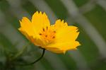 Dcim5220/DSC_2775