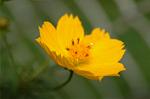 Dcim5220/DSC_2777
