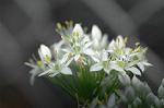 Dcim5220/DSC_2779