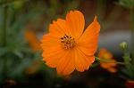 Dcim5220/DSC_2804
