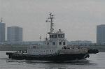 Dcim5227/DSC_7595