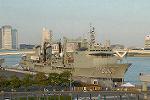 Dcim5230/DSC_8466