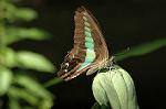 Dcim5232/DSC_3209