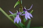 Dcim5232/DSC_3216