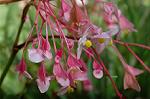 Dcim5232/DSC_3257