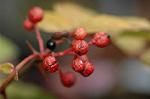 Dcim5232/DSC_3270