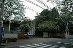 Dcim5243/DSC_3601