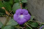 Dcim5243/DSC_3624