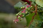 Dcim5244/DSC_3772
