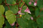 Dcim5244/DSC_3809