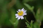 Dcim5245/DSC_3912