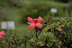Dcim5246/DSC_3967