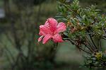 Dcim5246/DSC_3969