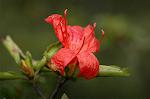Dcim5246/DSC_3979