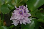 Dcim5246/DSC_3984