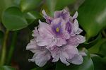 Dcim5246/DSC_3986