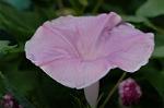 Dcim5246/DSC_4022