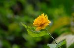 Dcim5247/DSC_0934