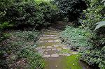 Dcim5247/DSC_1008