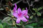 Dcim5247/DSC_1057