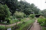 Dcim5248/DSC_1123