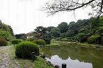 Dcim5249/DSC_1197