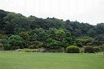 Dcim5249/DSC_1205