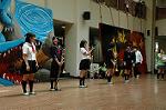 Dcim5257/DSC_4801
