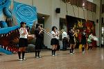 Dcim5257/DSC_4802