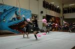 Dcim5257/DSC_4843