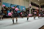 Dcim5257/DSC_4850