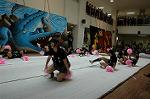Dcim5257/DSC_4861