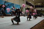 Dcim5257/DSC_4862