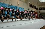 Dcim5257/DSC_4866