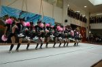 Dcim5257/DSC_4867